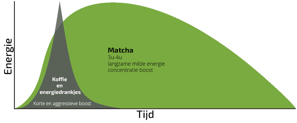 Matcha Energie - Yuga Matcha - Wat is Matcha